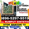 Toko Rumput Plastik Blang Pegayon.jpg