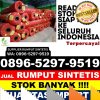 Supplier Rumput Imitasi Pulau Pulau Batu Barat.jpg