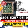 Toko Rumput Plastik Bonatua Lunasi.jpg