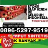 Toko Rumput Sintetis Panarukan.jpg