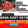 Supplier Rumput Imitasi Rambang Dangku.jpg