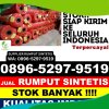 Supplier Rumput Imitasi Rendang.jpg