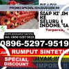 Supplier Rumput Imitasi Rungan Hulu.jpg