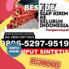 Supplier Rumput Imitasi Samigaluh.jpg