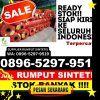 Toko Rumput Sintetis Permata Intan.jpg