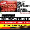 Supplier Rumput Imitasi Semen.jpg