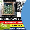 Toko Rumput Plastik Darmaraja.jpg