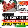 Toko Rumput Sintetis Praya Tengah.jpg