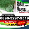 Toko Rumput Plastik Gading.jpg