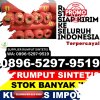 Toko Rumput Sintetis Tamalate.jpg