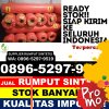 Toko Rumput Sintetis Ulu Musi.jpg