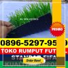 Jual Rumput Sintetis Futsal Lubuk Linggau Timur Ii.jpg