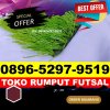 Jual Rumput Sintetis Futsal Afulu.jpg