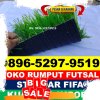 Jual Rumput Sintetis Futsal Sajoanging.jpg