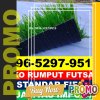 Jual Rumput Sintetis Futsal Lumajang.jpg