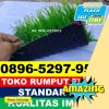 Jual Rumput Sintetis Futsal Indra Makmur.jpg