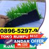 Produsen Rumput Sintetis Futsal Akabiluru.jpg