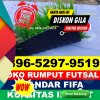 Jual Rumput Sintetis Futsal Jagoi Babang.jpg