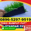 Jual Rumput Sintetis Futsal Jakenan.jpg