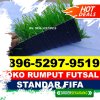 Jual Rumput Sintetis Futsal Sambelia.jpg