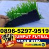 Jual Rumput Sintetis Futsal Jambe.jpg