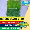 Supplier Rumput Sintetis Futsal Indralaya Selatan.jpg