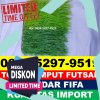 Supplier Rumput Sintetis Futsal Jailolo Selatan.jpg