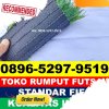 Produsen Rumput Sintetis Futsal Sanrobone.jpg