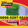 Supplier Rumput Sintetis Futsal Jampang Kulon.jpg