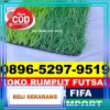 Jual Rumput Sintetis Futsal Jelai Hulu.jpg