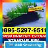 Jual Rumput Sintetis Futsal Seberang Kota.jpg