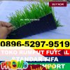 Jual Rumput Sintetis Futsal Maniang Pajo.jpg