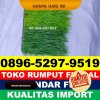 Supplier Rumput Sintetis Futsal Jati Agung.jpg