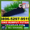 Jual Rumput Sintetis Futsal Seberut Barat Daya.jpg