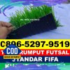 Jual Rumput Sintetis Futsal Segeri.jpg