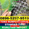 Supplier Rumput Sintetis Futsal Sasak Ranah Pasisie.jpg