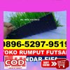 Jual Rumput Sintetis Futsal Jumo.jpg