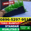 Jual Rumput Sintetis Futsal Maritengngae.jpg