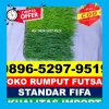 Supplier Rumput Sintetis Futsal Bacan Barat.jpg