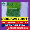 Supplier Rumput Sintetis Futsal Bacan Timur Tengah.jpg