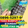 Supplier Rumput Sintetis Futsal Marang Kayu.jpg