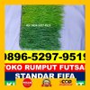 Supplier Rumput Sintetis Futsal Badau.jpg