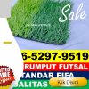 Pusat Rumput Sintetis Futsal Maro Sebo Ilir.jpg