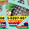 Supplier Rumput Sintetis Futsal Margomulyo.jpg