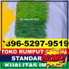 Supplier Rumput Sintetis Futsal Kabupaten Barito Kuala.jpg