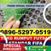 Supplier Rumput Sintetis Futsal Seputih Agung.jpg