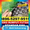 Supplier Rumput Sintetis Futsal Mendahara Ulu.jpg