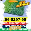 Supplier Rumput Sintetis Futsal Serasan.jpg