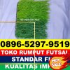 Supplier Rumput Sintetis Futsal Kabupaten Dompu.jpg