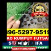 Supplier Rumput Sintetis Futsal Mentawa Baru Ketapang.jpg